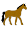 GIF animado (8816) Caballo andando