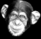 GIF animado (8986) Cabeza de chimpance
