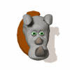GIF animado (9989) Cabeza de rinoceronte