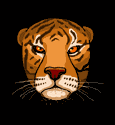 GIF animado (10008) Cabeza de tigre