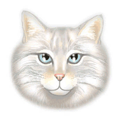GIF animado (7841) Cabeza gato angora