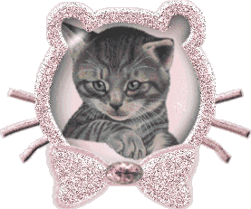 GIF animado (7706) Cabeza gato glitter