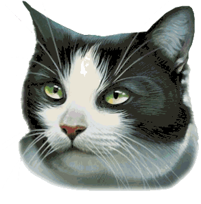 GIF animado (7716) Cabeza gatos