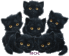 GIF animado (7718) Cabezas gatos negros