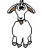 GIF animado (8842) Cabra