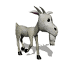 GIF animado (8844) Cabra