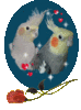 GIF animado (2208) Cacatuas enamoradas