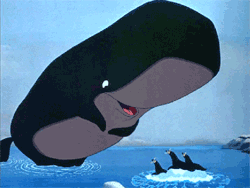 GIF animado (5766) Cachalote focas