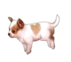 GIF animado (10648) Cachorro chihuahua