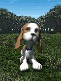 GIF animado (10447) Cachorro de basset hound