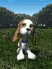 GIF animado (10447) Cachorro de basset hound