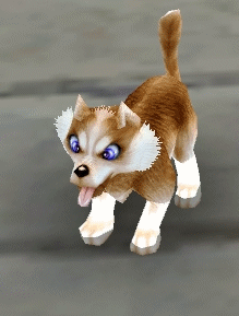 GIF animado (10863) Cachorro de husky