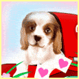 GIF animado (2428) Cachorro enamorado