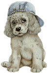 GIF animado (10572) Cachorro gorra