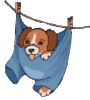 GIF animado (10586) Cachorro pantalones