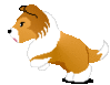 GIF animado (10690) Cachorro rough collie