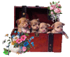 GIF animado (10610) Cachorros baul