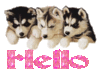 GIF animado (10866) Cachorros de husky