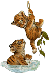 GIF animado (10010) Cachorros tigre