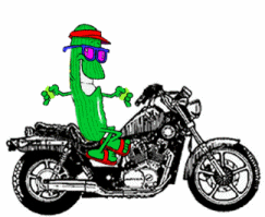 Imagen GIF de Calabacin en una moto animado