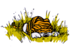 GIF animado (13565) Calvin hobbes