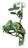 GIF animado (11164) Camaleon cambia de color
