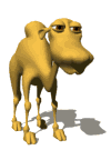 GIF animado (8869) Camello