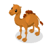 GIF animado (8872) Camello