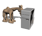 GIF animado (8873) Camello contra ordenador