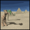 GIF animado (8874) Camello en las piramides