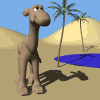 GIF animado (8875) Camello en un oasis