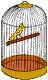 GIF animado (6844) Canario en una jaula