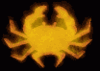 GIF animado (6003) Cangrejo de fuego