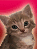 GIF animado (7719) Cara de gatito