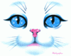 GIF animado (7724) Cara gato blanco