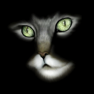 GIF animado (7726) Cara gato negro