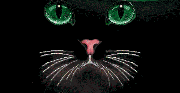 GIF animado (7727) Cara gato negro