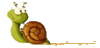 GIF animado (7493) Caracol rapido