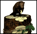 GIF animado (8915) Castor en un tronco de arbol