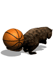 GIF animado (8917) Castor jugando a baloncesto