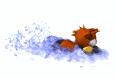 GIF animado (8918) Castor nadando