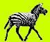 GIF animado (8927) Cebra andando