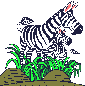 GIF animado (8939) Cebras