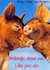 GIF animado (2003) Cerditos enamorados