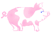 GIF animado (8948) Cerdo