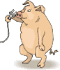 GIF animado (8966) Cerdo