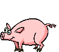 GIF animado (8968) Cerdo bailando