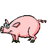 GIF animado (8968) Cerdo bailando