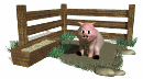 GIF animado (8972) Cerdo en la granja