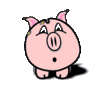 GIF animado (8974) Cerdo llorando
